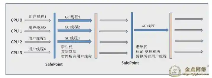 ParNew 收集器